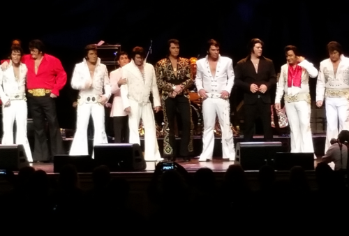 Ten Elvis Presley Impersonators who made it to the final round.